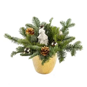 Счастье в дом стучится